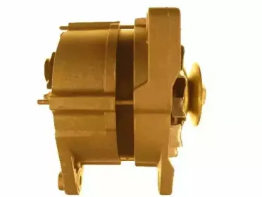 friesen-9036660